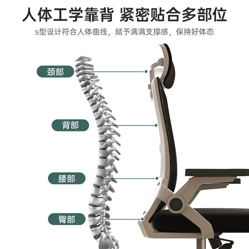 Office chair, home comfortable computer chair, student study, backrest, ergonomics chair, sedentary rotary lifting, e-sports chair