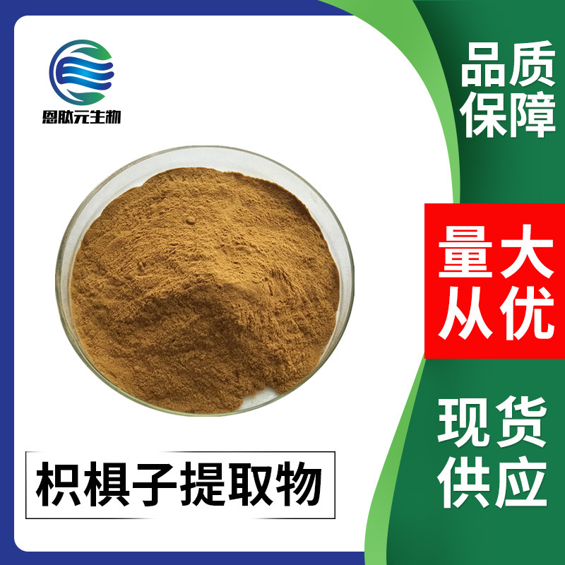 枳椇子提取物 10:1 现货 植物提取物 量大从优 枳椇子提取物粉
