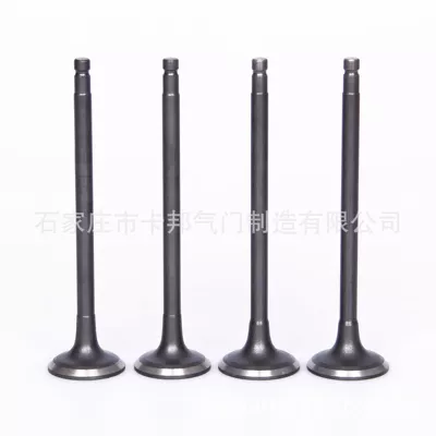 K4M-76116V Engine ValVe – Valve components