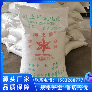 �����t����/�����Ǉ����Ȼ��@ ����|�S���|����} �����ӄ�