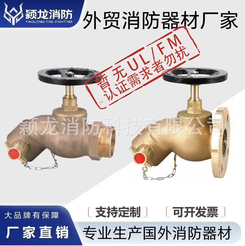 外贸消防器材BS336英式消防栓2.5寸欧标消火栓BS4501-1英标着陆阀