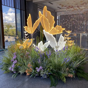 ����ֲ��ܛ�b�쾰ͥԺ�����bƵ�͏d����@�����b�����JȔ�ݶ�