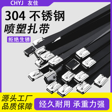 304不锈钢扎带厂家批发自锁式耐高温4.6*300mm黑色金属包塑理线