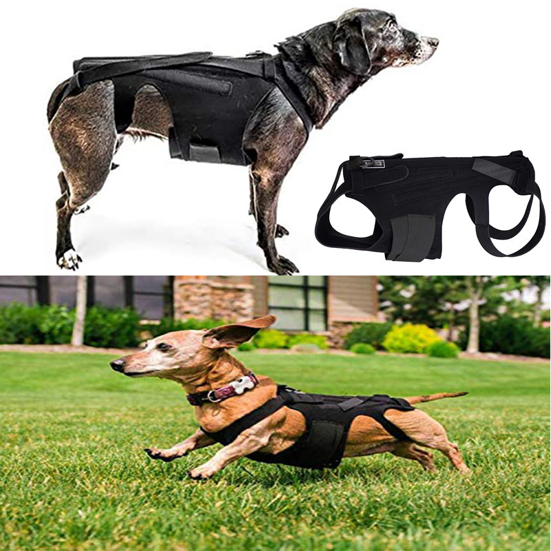 Amazon New Dogs Disc Protection Support Vest Pet Clothing Dog Back Pain Relief Strap