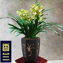 ���ͺ����������m�����҃������m������ī�m���m�󻨰����˻��͏d