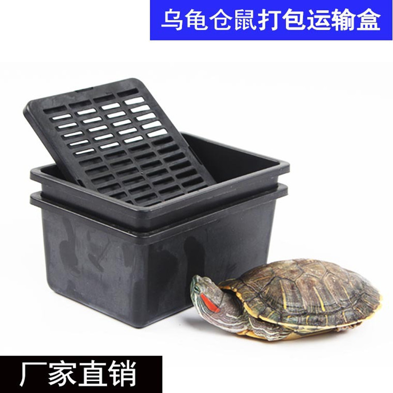 Factory wholesale direct supply wholesale plastic small fish tank goldfish tank turtle box pet box hamster transport box final sample