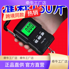 高精度手提电子秤家用弹簧小型便携式迷你称鱼器手拿小巧吊勾小称