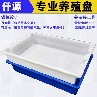 �Bֳ�z���x�ѷ����P�L������B�бP�����x�����S���x�Bֳ���Ϻ�