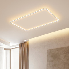 Ceiling LED lamp, stylish minimalist modern living room light, rectangular home use, Nordic creative bedroom light, room lighting