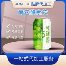 益生菌发酵型酵素饮料代加工 药食同源250ml罐装荷花酵素饮OEM