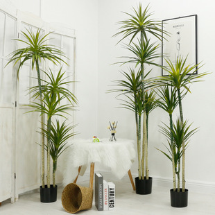 Atificial plants���W�ٰ����F�Rβ�F����ֲ��͏d�����Ѫ��Gֲ