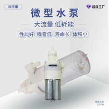 27FPW厂家批发微型水泵液泵食品级饮水机水泵咖啡机泡沫泵