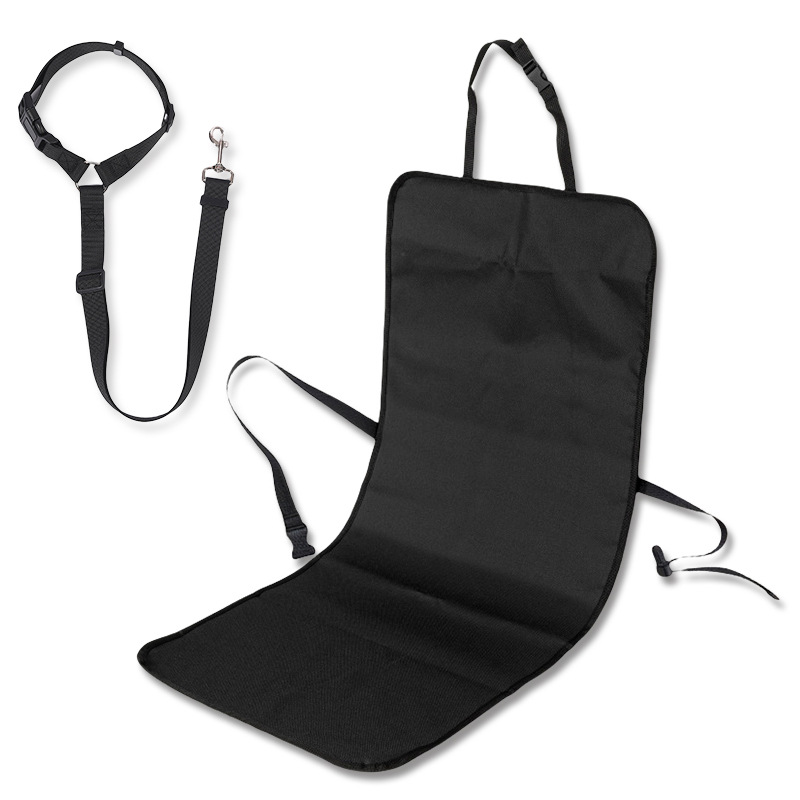 블랙 시트 쿠션 + 안전벨트