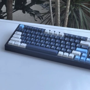 Кейкапы Tempest малый набор PBT