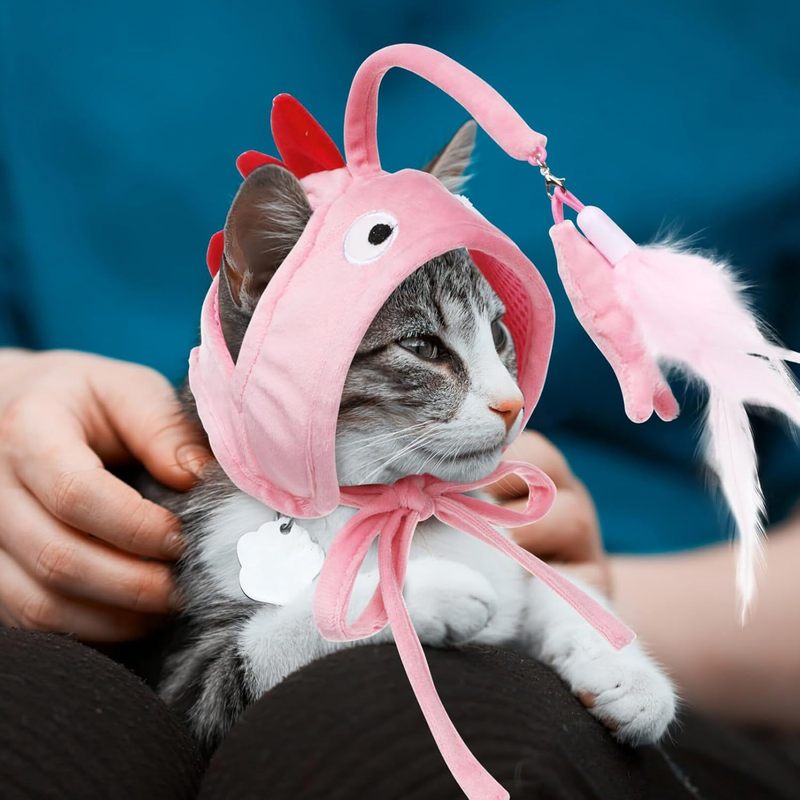 国境を越えた新型の頭は羽をかぶって猫の棒をからかって帽子をからかって猫のおもちゃのペット用品の趣味の猫のおもちゃをからかっます。|undefined