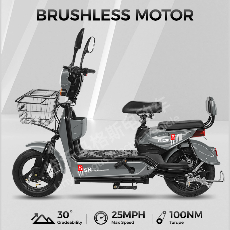 Fuente fábrica venta directa coche eléctrico bicicleta eléctrica transfronteriza coche de batería doble adulto transfronterizo coche eléctrico de dos ruedas