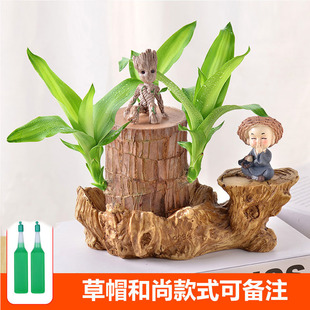 ����ľ������ˮ���B���\ľ��ѿ�_���k������С�����׻��҃ȾGֲ��