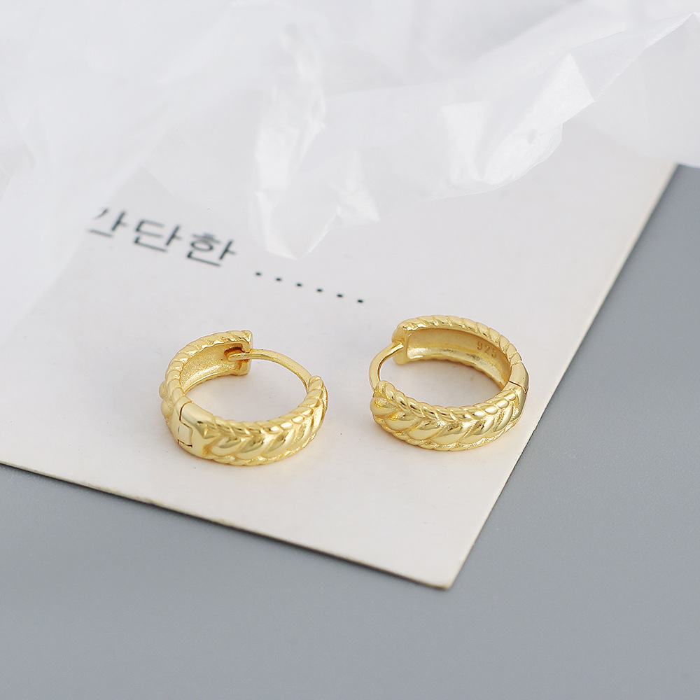 Casual Geometric Sterling Silver Plating Earrings 1 Pair