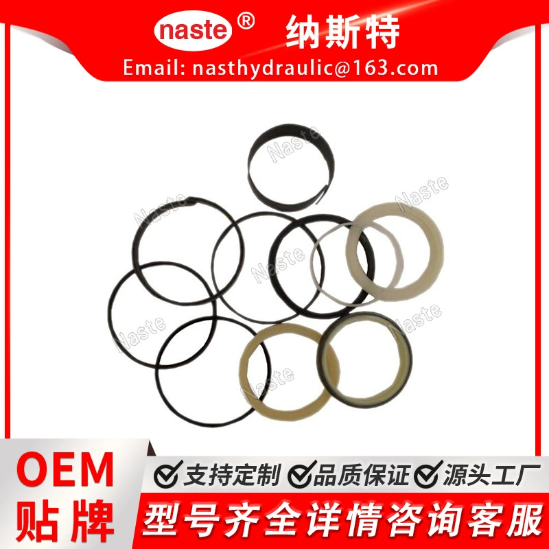 Комплект уплотнения цилиндра Case 1542923C2 для Case 580SL 580SM 590 590SL