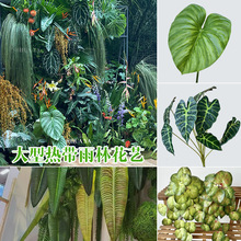 �Ꭷ���ַ���پGֲ�����~�҃ȾGֲ�b�����������~���澰�^�쾰