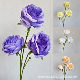 �����ͮ� �����؊W˹�� ��������ĭ���ӻ�c�Ƶ���Ż������b�