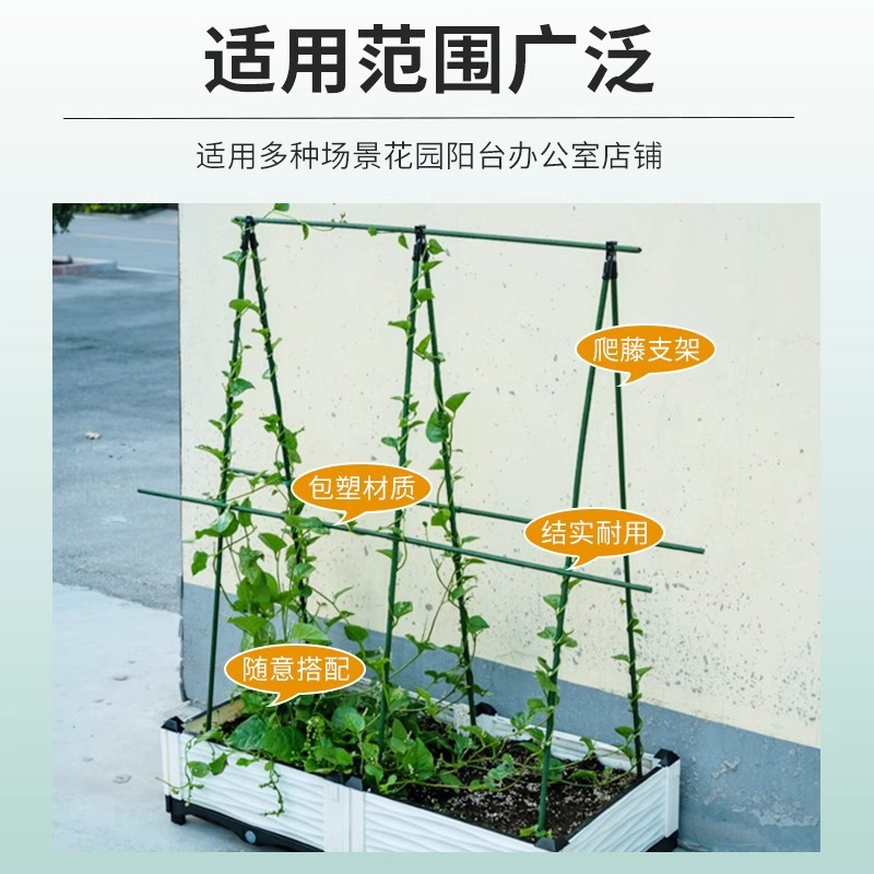 Marco de enredadera de pepino, estante de verduras de frijoles, caja de plantación de tomate, marco de enredadera, poste de soporte fijo, estante de jardinería
