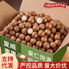 ����ζ�����Ĺ��_���ׄ��Թ��ɹ���؛���e��ʳ�ք������Ĺ����l