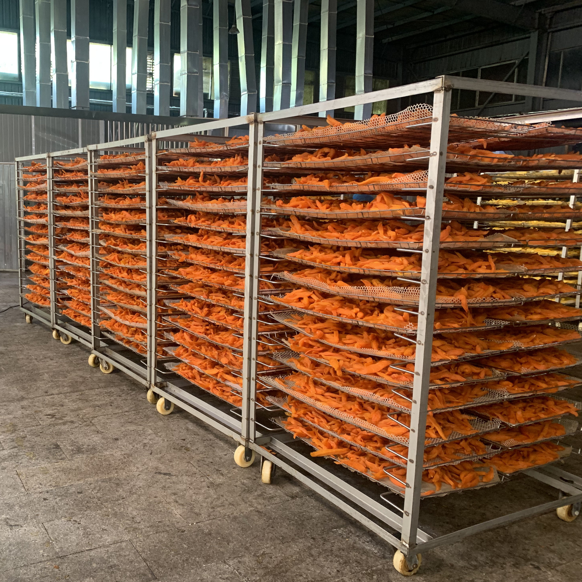 baffc682ce7e41c320eb410ba036a7