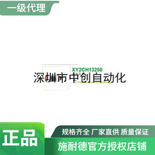 ����ԭ��������λ����XY2CD111 KTA1250ED4203