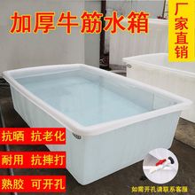大号加厚牛筋塑料水箱长方形储水桶水产养殖方桶养鱼卖鱼牛筋浅盆