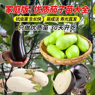 �ļ����������玧�����Լ޽���Ʒ�N���Ѻ��ѷN�Ѵ����߲�������