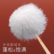 �ɶ��������b�Ͷ����Zë�􌣘I�ȶ��Ͷ������ëë�ڶ����坍����