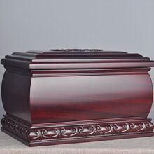 �ߙn�t��֦ľ�ǻҺ����w��ľ�î�����йǿ��Љۺ��w������S���l