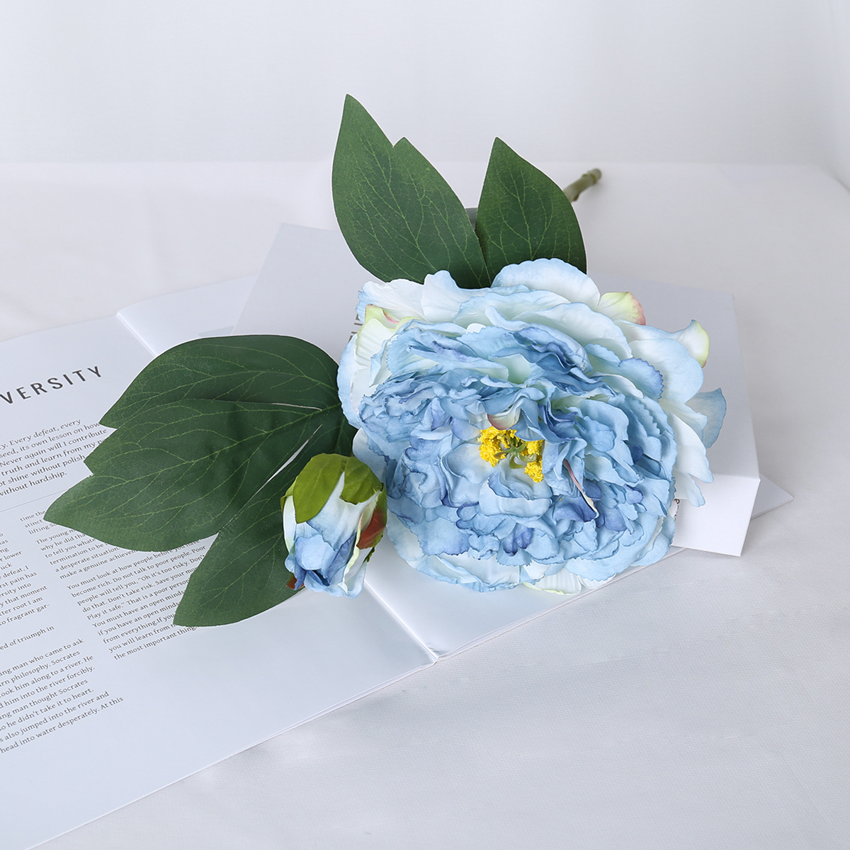 Simulación de una sola rama 2 cabeza peonía de borde asado estilo nórdico decoración de bodas decorativa floral pintura al óleo peonía imitación flores