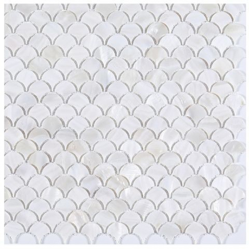 솔기가 있는 흰색 조개 부채꼴 조각 5개