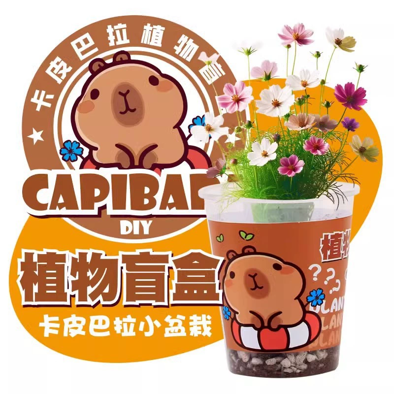 Набор для выращивания растений (Capibara) с дизайном панда — для детей/детского сада, подарок на день рождения