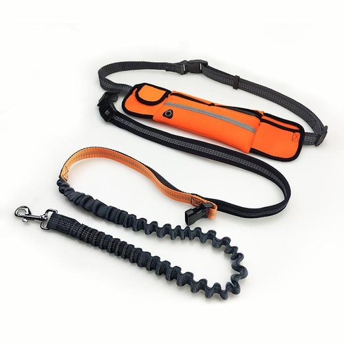 Pet Supplies Amazon Pet Running Leash Portable Waist Bag Full Function Dog Leash Leash Dog Leash