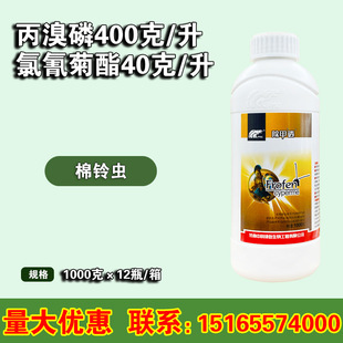 �пƳ���͸ ���������� �ײ˸��{�߲��S�l������ʭ���x��1000��