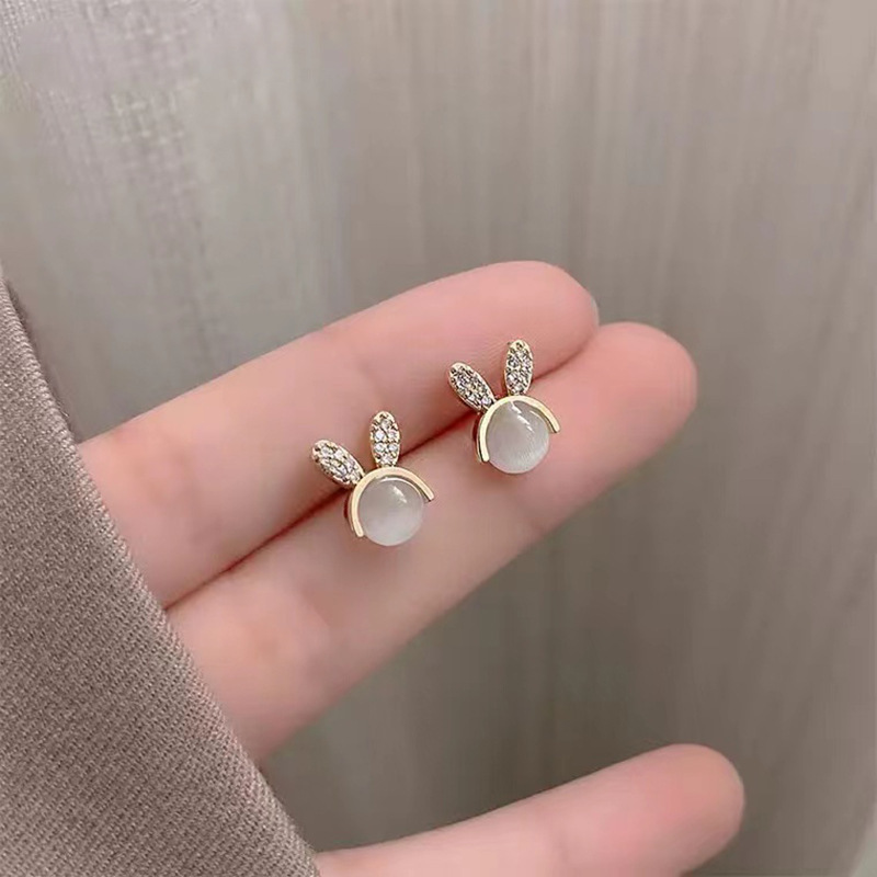 고양이 돌 토끼