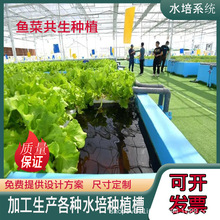 水培蔬菜设备鱼菜共生潮汐系统温室无土栽培种植槽水培种植架