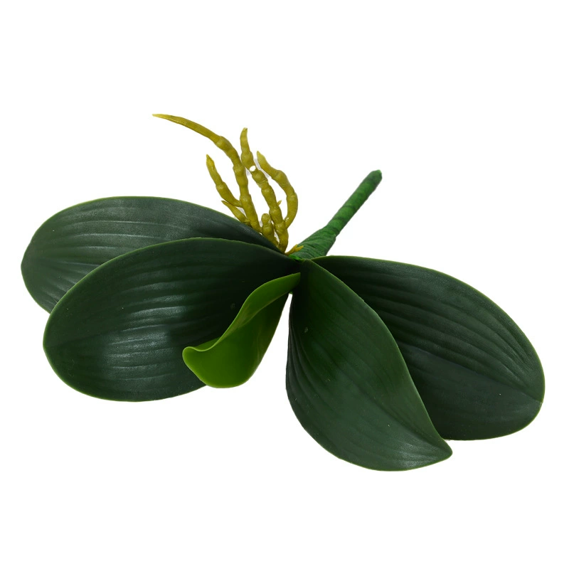 Крупные мелкие аксессуары, 3 штуки, 4 штуки, 5 штук, орхидея