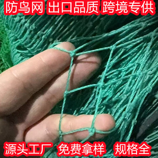 ��]����HDPE�r�I���B�W���@���o�W����ȸ�W2���׿�bird net