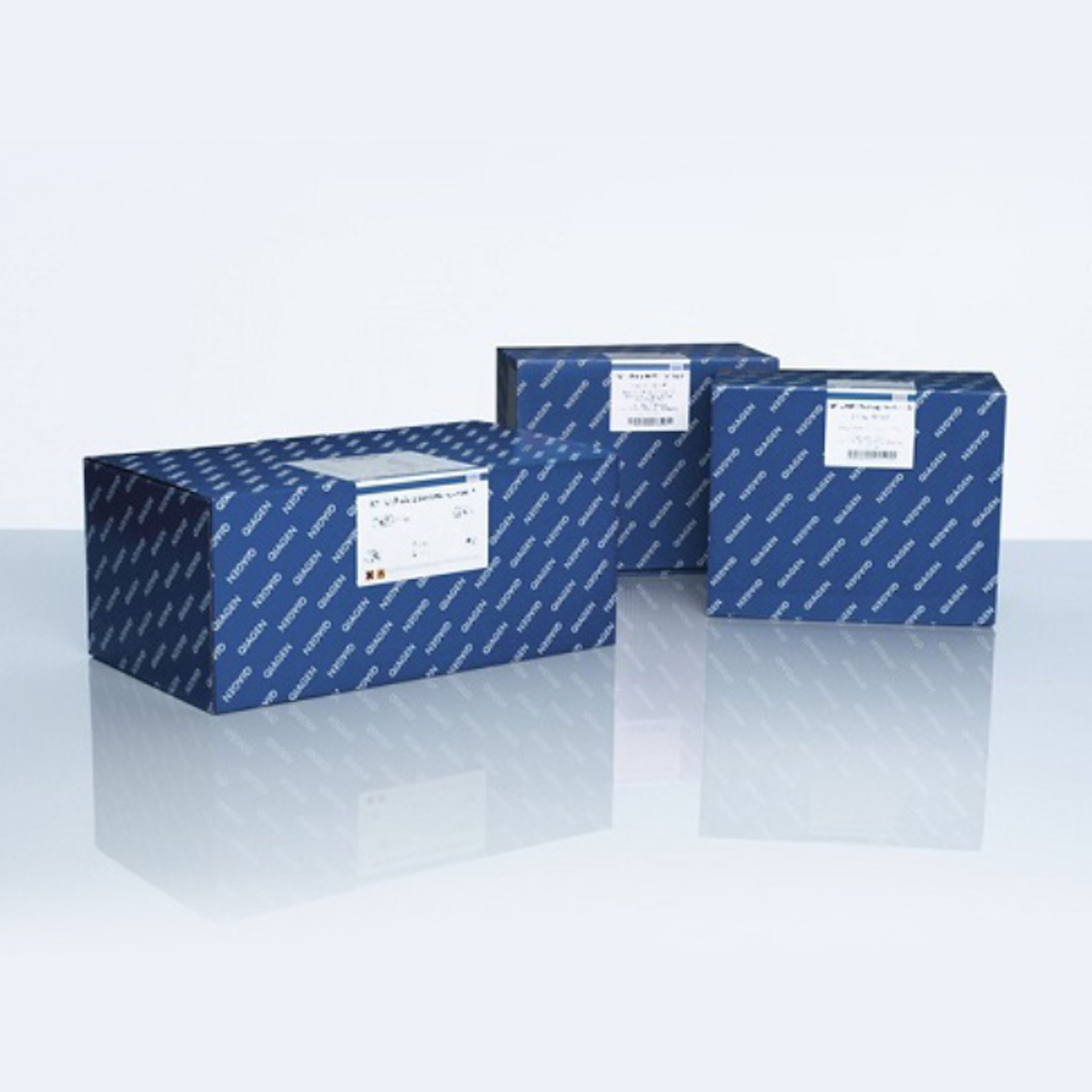 Qiagen 51604 快速粪便基因组DNA小提试剂盒，50T