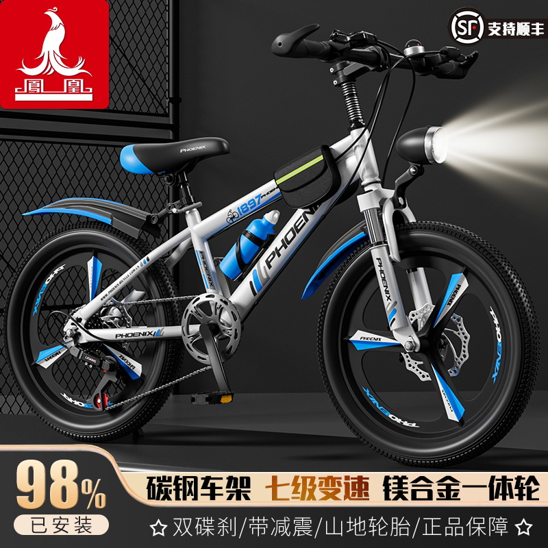 Phoenix Children's Bicycle for Kids Aged 10 to 15, Mountain Bike with Variable Speed, Shock Absorption, Disc Brakes, Integrated Wheels