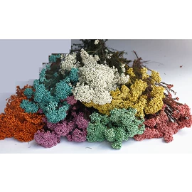 鲜花花艺制品;永生花;干花