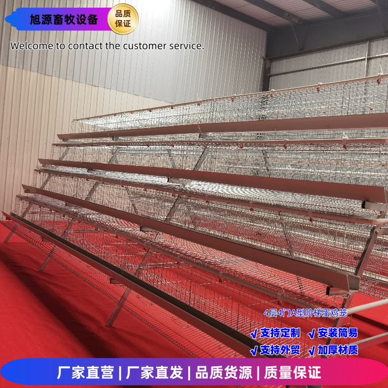 Una jaula de huevos de 4 capas de 4 puertas, una jaula de escalones tipo A, tecnología de galvanizado en frío / galvanizado en caliente, crianza de gallinas