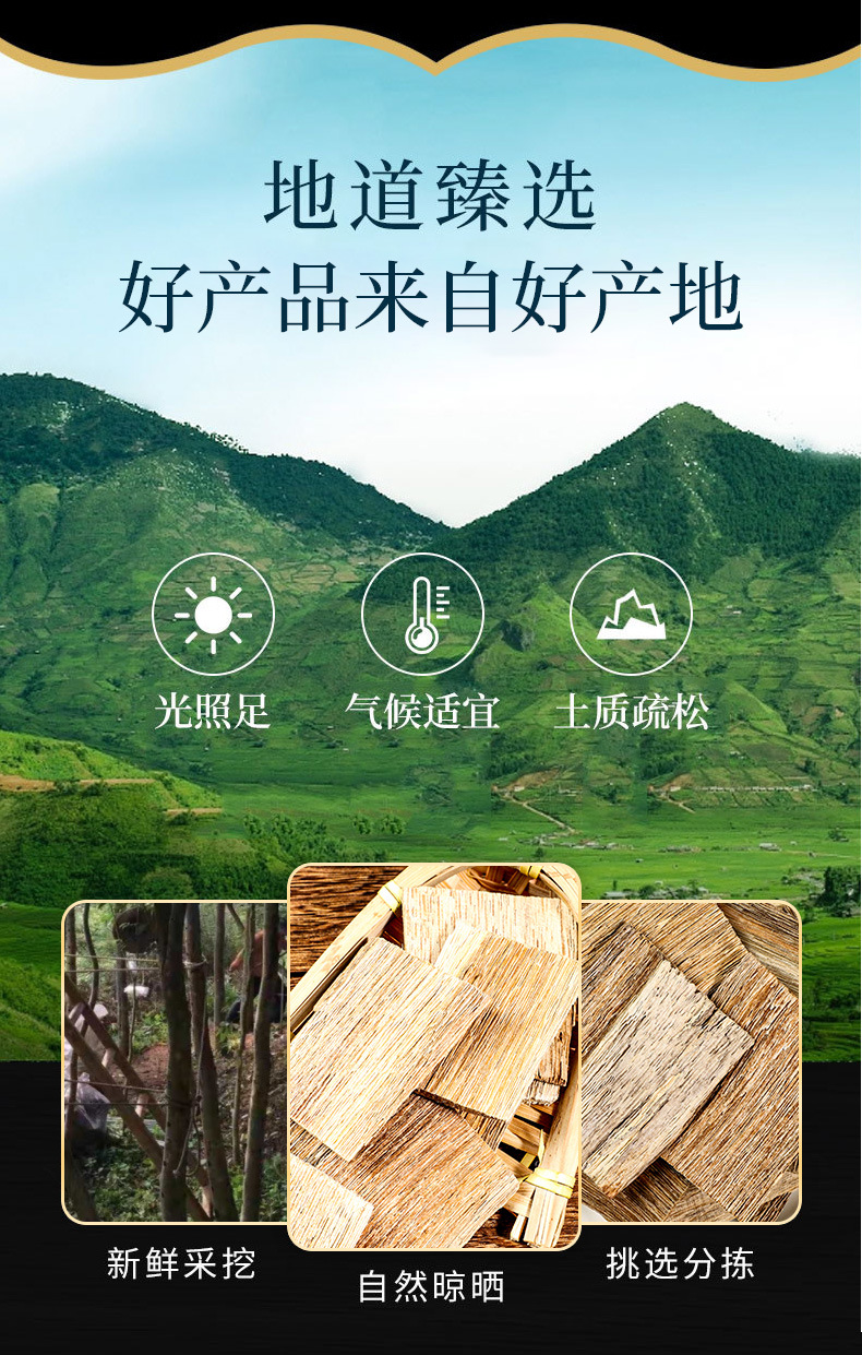 Chen Xiang (Aquilaria sinensis) — Hainan Agarwood Pieces & Powder, Naturally Sun-Dried overview