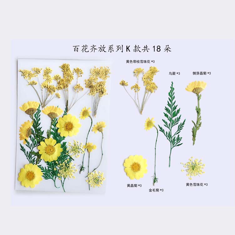 Paquete de material en relieve jardín de infantes en relieve DIY marcador epoxi flor seca caja del teléfono en relieve planta muestra