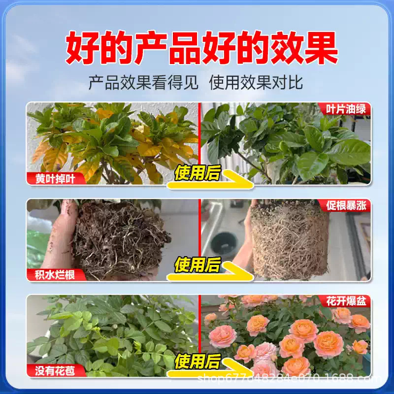 源头厂家-治黄叶-促花芽-修根系-植物急救液|undefined