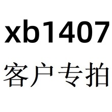 XB1407-�u׃ɫ�M������朿͑���